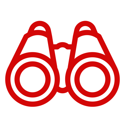 Vision Icon